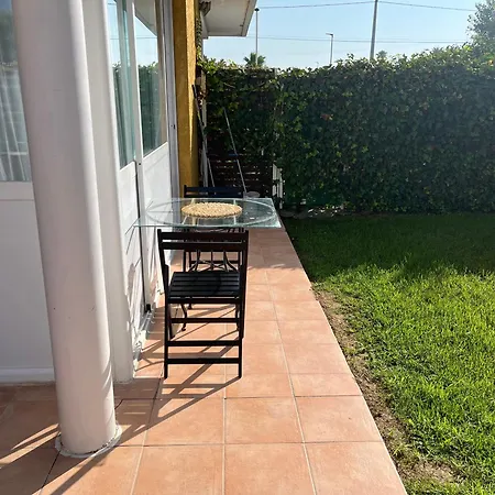 Albir Experience * El Albir