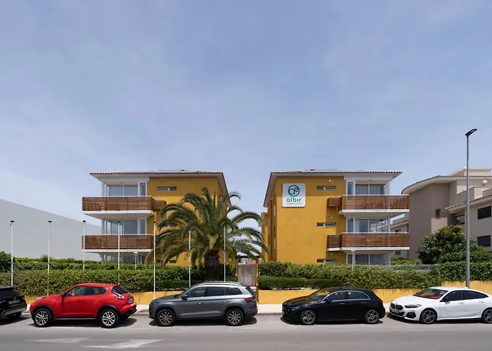 Albir Experience 알비르