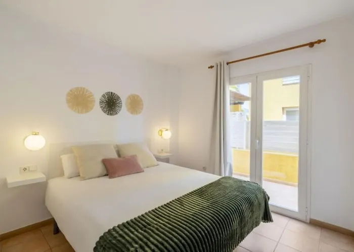 Albir Experience * 알비르