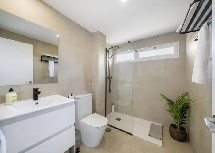 Albir Experience * 알비르