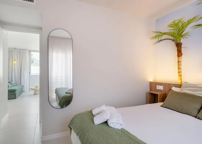 Albir Experience * 알비르