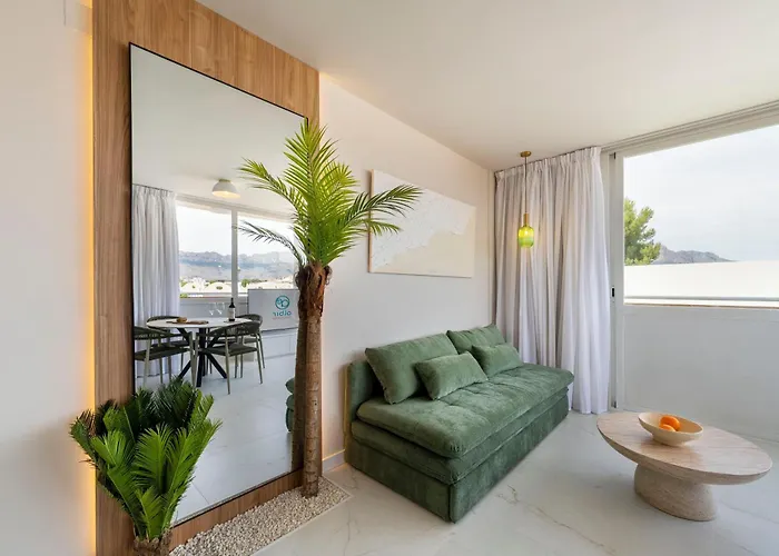 Albir Experience * 알비르